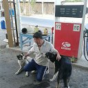 ���� �������, �����������, 42 ���� - ��������� 29 ������ 2019 � ������ ���� ����������