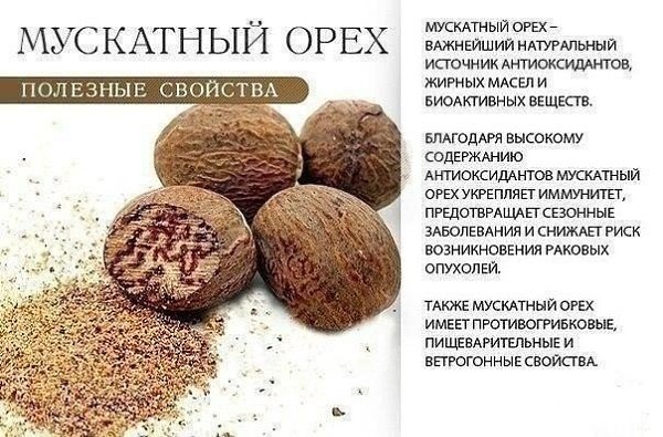 Немного о пользе сухофруктов и орехов. А какие ваши любимые? #советы@ican - 6