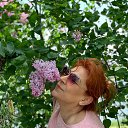 ���� ������, ������-��-����, 59 ��� - ��������� 2 ��� 2019 � ������ ���� ����������