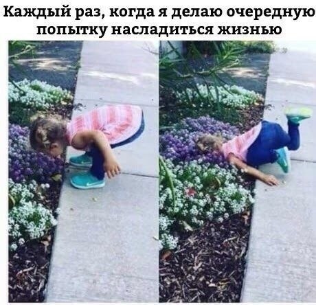 ☆   ☆ - 20  2019  02:09