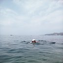 ���� �����, ����������, 66 ��� - ��������� 2 ������ 2019 � ������ ������ ��������