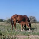 ���� ������, ��������, 58 ��� - ��������� 18 ������� 2019 � ������ �������