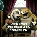���� �����, ���� - ��������� 11 ���� 2019 � ������ ������ ��������
