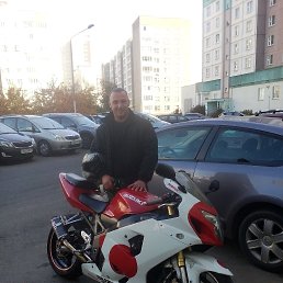 ���� �������, �����, 36 ��� - ��������� 10 ��� 2019