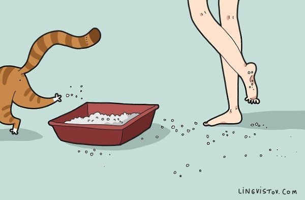 Жизнь с котом — это: by Lingvistov #настроение@ican - 9