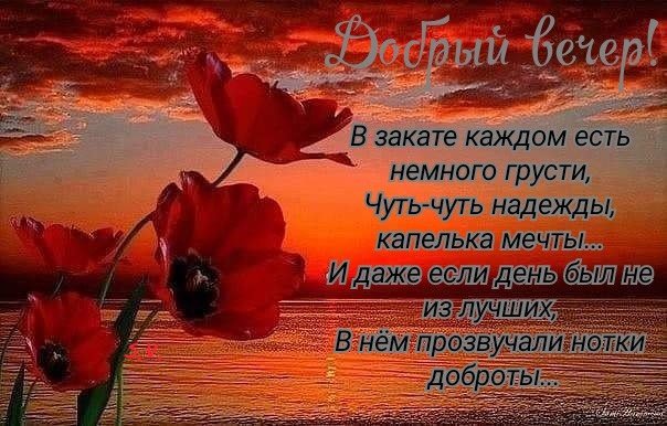 ����������� � ���������, �������� �� ������ ����. - 23 ������ 2019 � 18:18