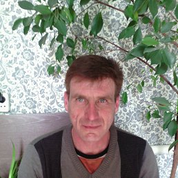 ���� �����, �����, 46 ��� - ��������� 16 ��� 2019