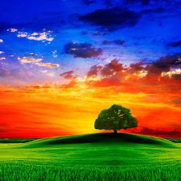 ���������, ������