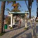 ���� ��������, �������, 60 ��� - ��������� 10 ��� 2019 � ������ ���� ����������