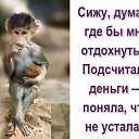 ���� ������� �������, ������-��-����, 73 ���� - ��������� 17 ���� 2019 � ������ ������ ��������