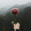 ���� ����������, ������� - ��������� 9 ������ 2019 � ������ ������ ��������