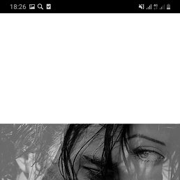 ���� ����, ������ - ��������� 19 ������� 2019