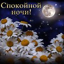 ���� �����, ������-��-����, 55 ��� - ��������� 22 ������ 2019 � ������ ���� ����������