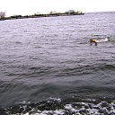 ���� ������, ��������, 57 ��� - ��������� 10 ������ 2019 � ������ ��������� ������