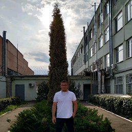 �����, �����-���������, 45 ���