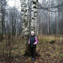 �����, �������, 74 ����