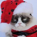 ���� Sandra, ������ - ��������� 31 ������� 2019 � ������ ���� ����������