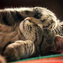 ���� ������, ������, 53 ���� - ��������� 3 ���� 2019 � ������ ���� ����������