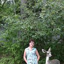 ���� �������, ���������� - ��������� 20 ���� 2019 � ������ ���� ����������