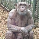 ���� �����, ����� - ��������� 19 �������� 2019