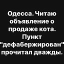 ���� �����, ���� - ��������� 7 ���� 2019 � ������ ���� ������