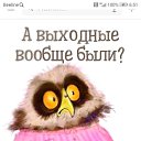 ���� ����, ���������, 55 ��� - ��������� 11 ���� 2019