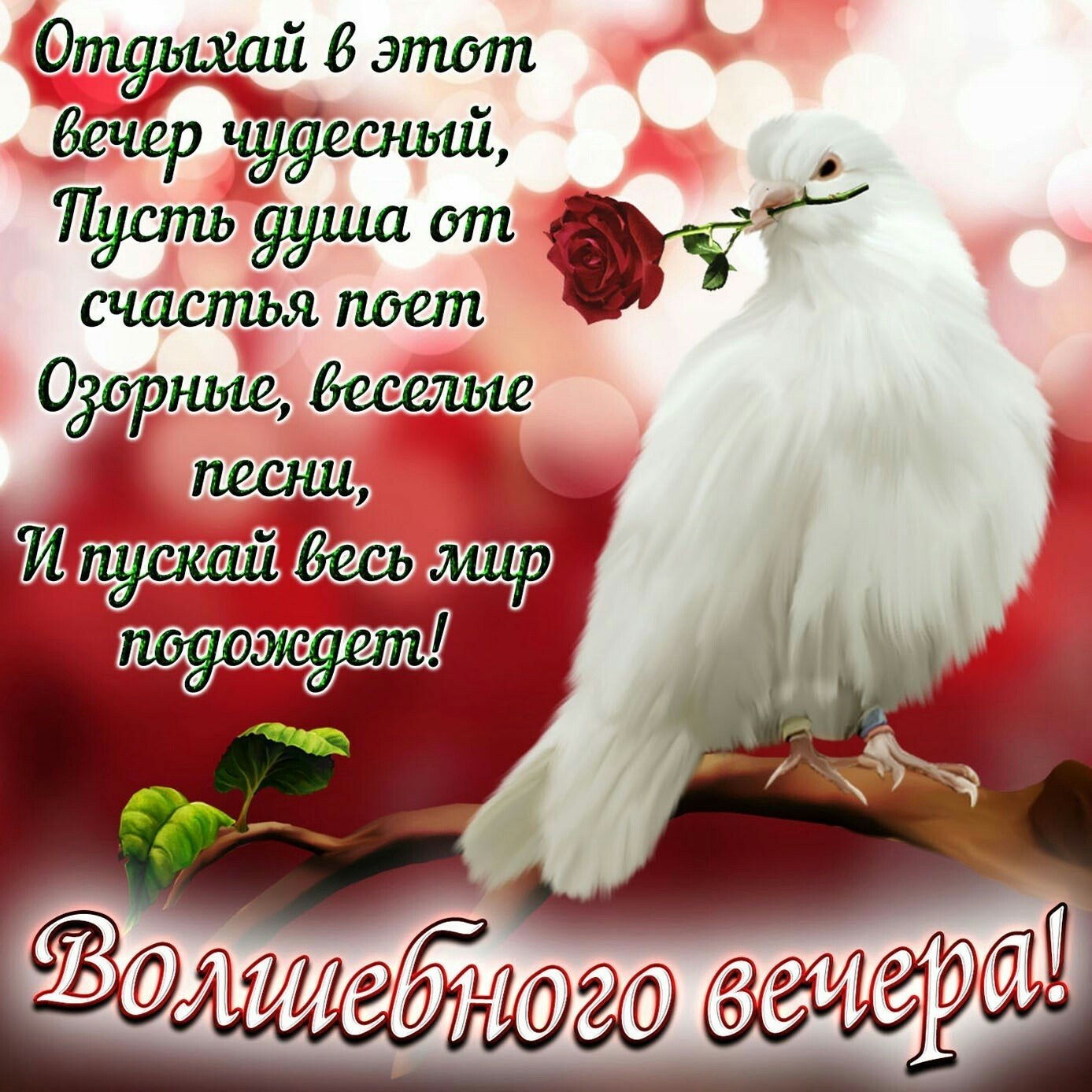 ,    !