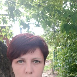 �����, ���, 49 ���