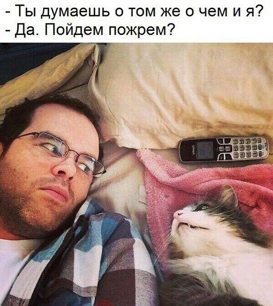   - 2  2019  17:20
