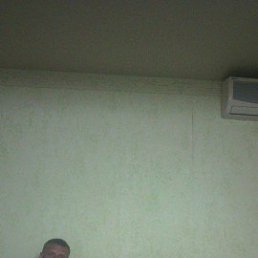 ���� �����, ���������, 33 ���� - ��������� 19 ������� 2019