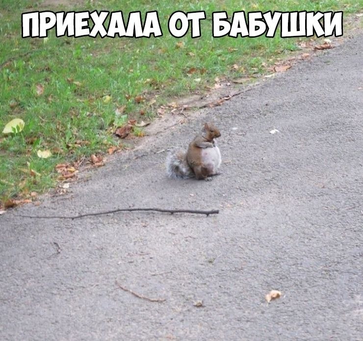    :D - 4  2019  02:30