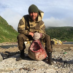 ���� ��������, �����������, 37 ��� - ��������� 8 ������� 2019