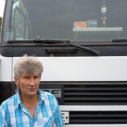 , 61, 