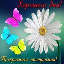 ���� ����������, �����-���������, 65 ��� - ��������� 4 ��� 2019 � ������ ���� ����������