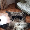 ���� ����, �����, 62 ���� - ��������� 25 ������ 2019 � ������ ������ ���