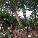 ���� ����, �����������, 50 ��� - ��������� 6 ������ 2019 � ������ ������������� ���