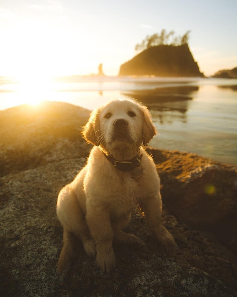 �a� �� �oo��e �o�e�e ���� �e� co�a��? - 9