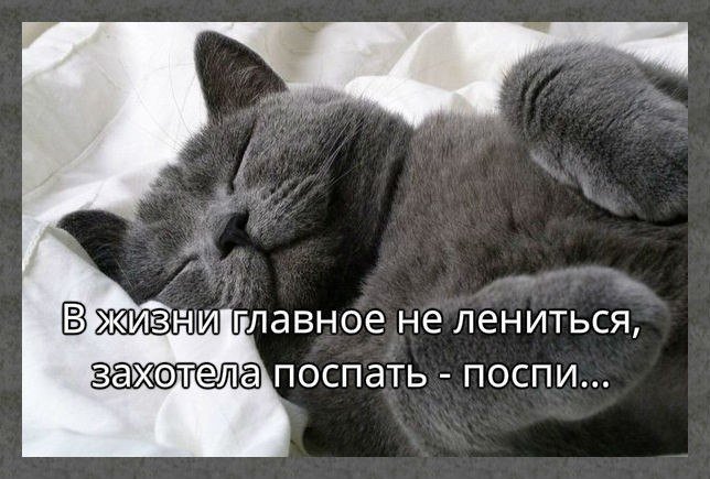 1 раз поспим