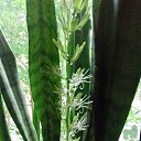 ���� �����, �����������, 56 ��� - ��������� 7 ���� 2019 � ������ ������ ��������