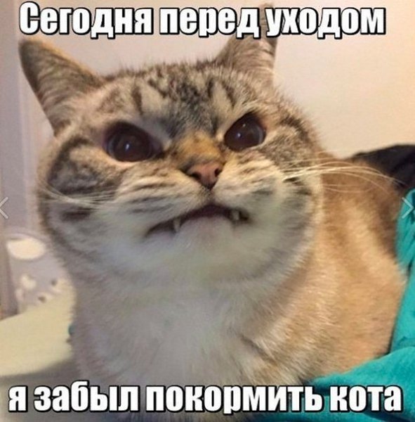 ? ,  ! - 11  2019  19:01
