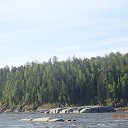 ���� ����, ����������, 57 ��� - ��������� 15 �������� 2019 � ������ �������� �. ������