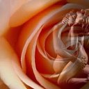 ���� ���������, ���� - ��������� 15 ������ 2019 � ������ ������ ��������