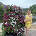 ���� ����, �����, 49 ��� - ��������� 4 ������� 2019 � ������ ���� ����������