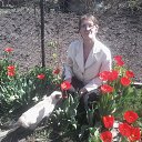 ���� ��������, �����������, 60 ��� - ��������� 7 ���� 2019 � ������ ���� ����������