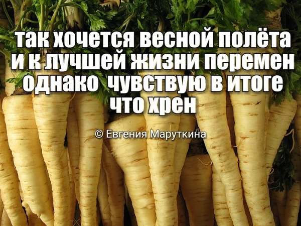 растёт у ольги в огороде.лишь хрен который знает всё© Natalieединороги существуютшептал аркадий ...