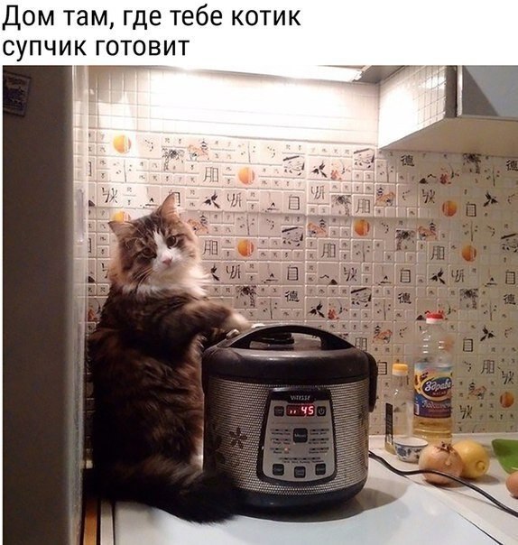? ,  ! - 11  2019  19:01