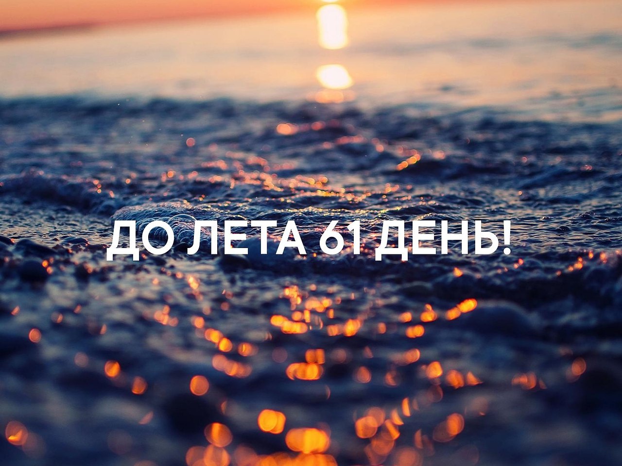   - 1  2019  03:48