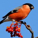 ���� ����, ����� - ��������� 7 ������ 2019 � ������ ���� ����������