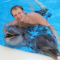 ���� �������, ��������, 43 ���� - ��������� 27 ������ 2019