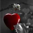  Mikhail,  -  5  2019    